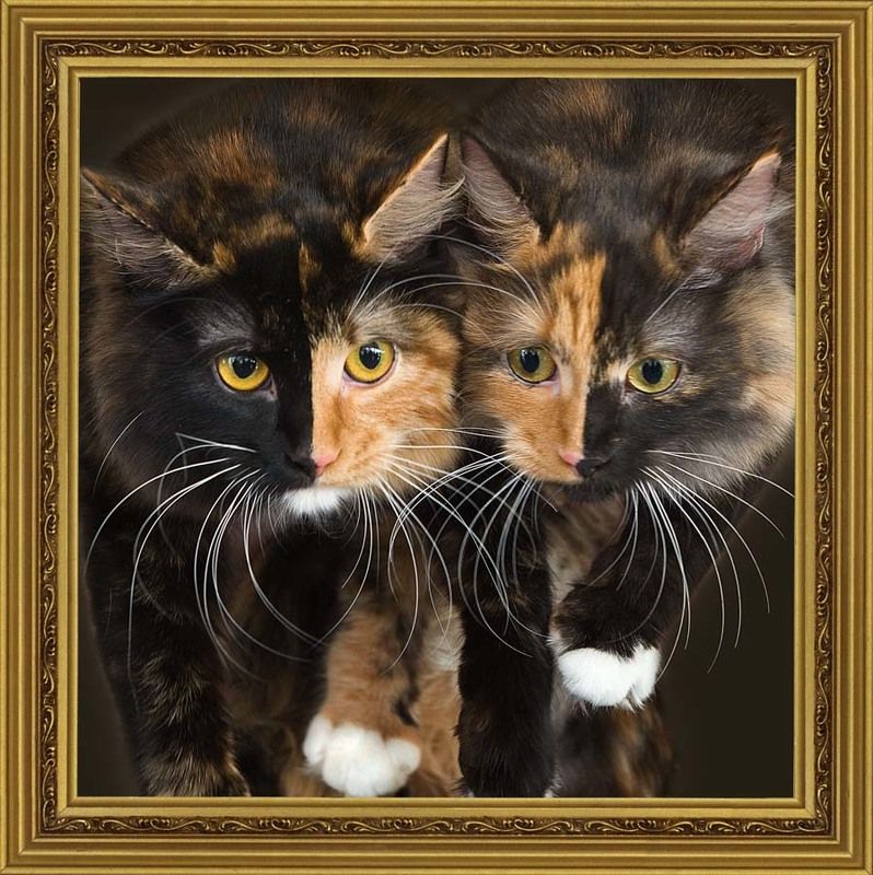 Гляжусь в тебя как в зеркало... фото превью