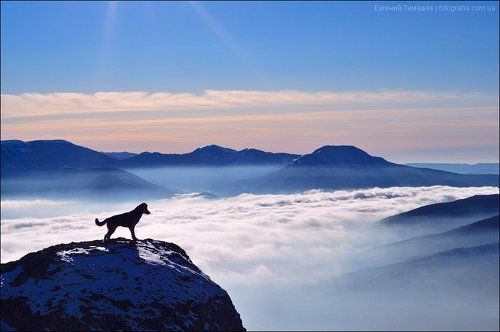 Созерцание