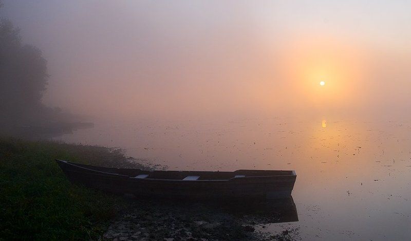 осень, туман, рассвет, солнце, лодка, деревья, отражения Туманный рассвет фото превью