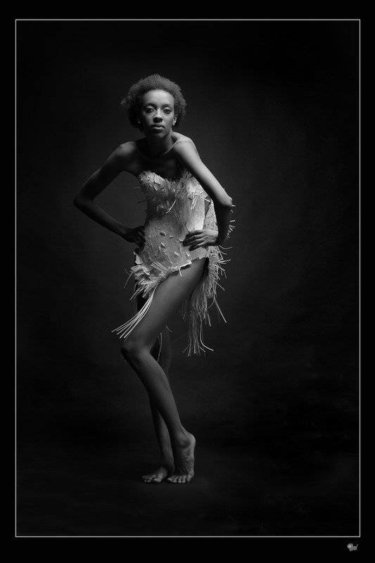 орнтитологи, цапля, птица, студя, портрет, гламур, черно-белое, yalokri