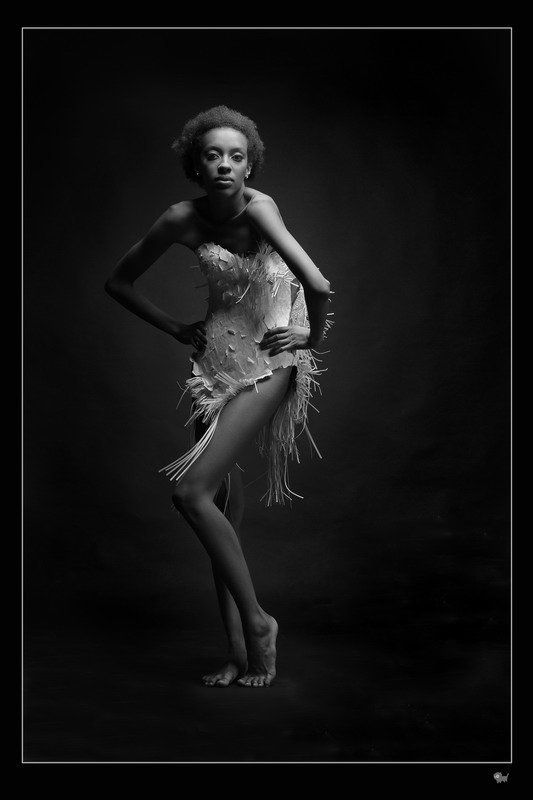 орнтитологи, цапля, птица, студя, портрет, гламур, черно-белое Цапля фото превью