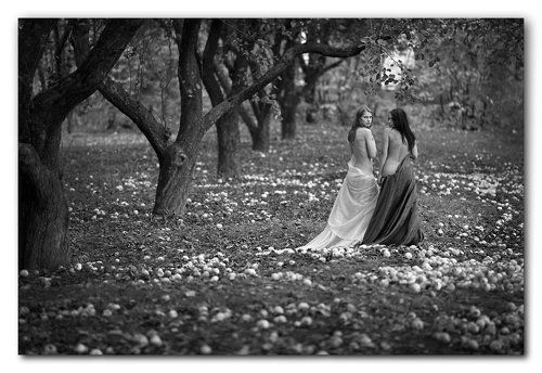 Яблоневый сад...