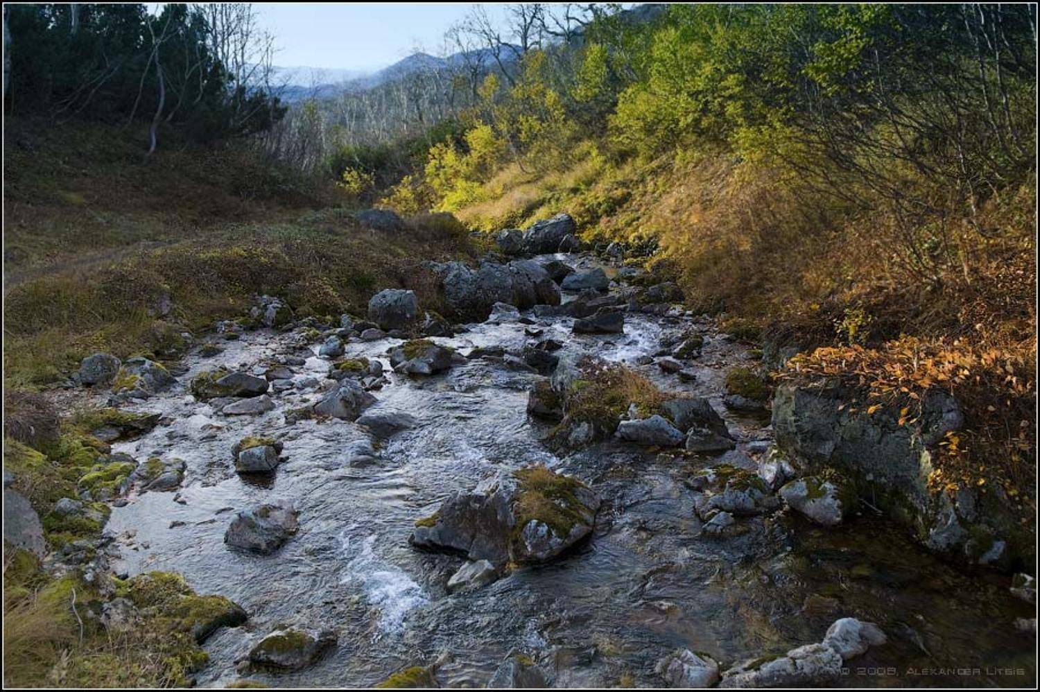 ручей,речка,камни,осень,вачкажец,камчатка, Александр Лицис