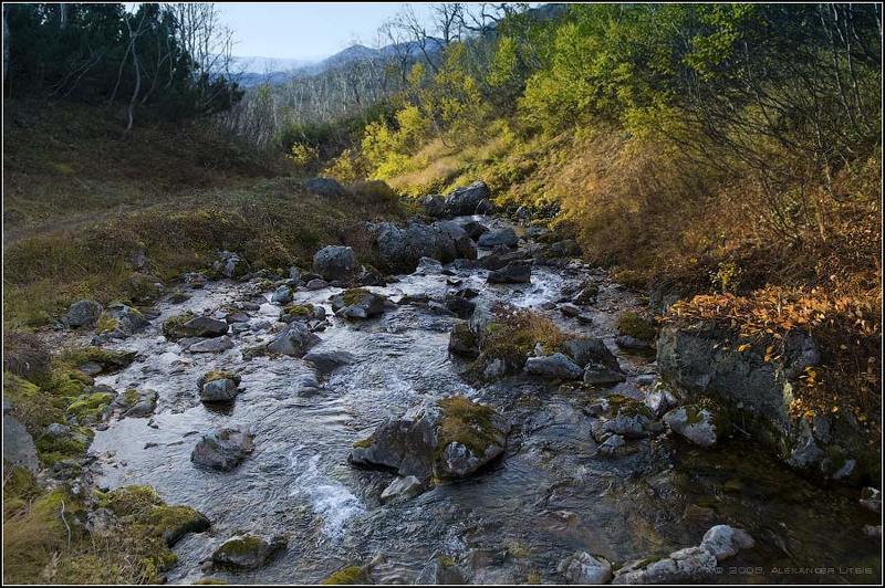 ручей,речка,камни,осень,вачкажец,камчатка Горная речка фото превью