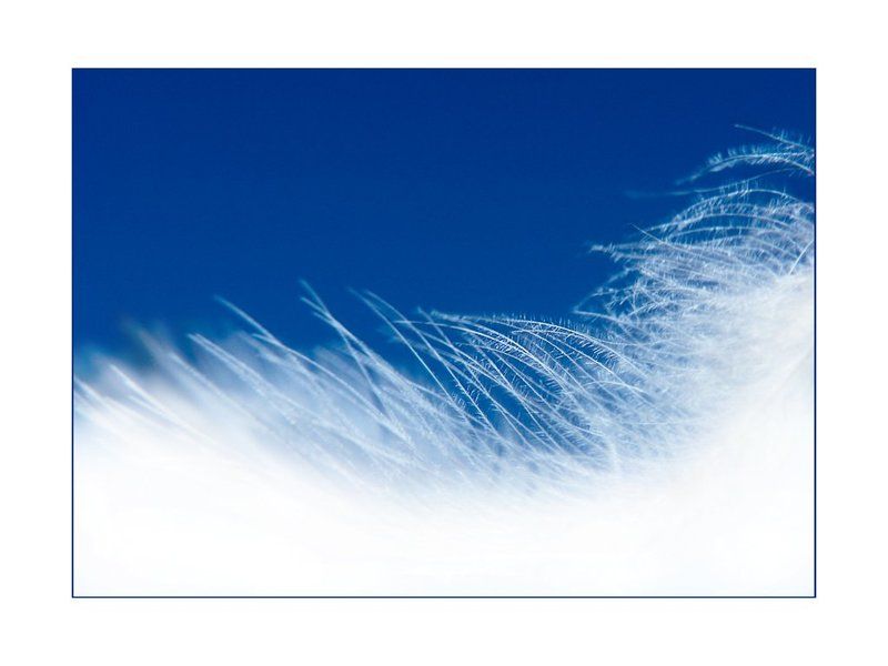 A I R фото превью