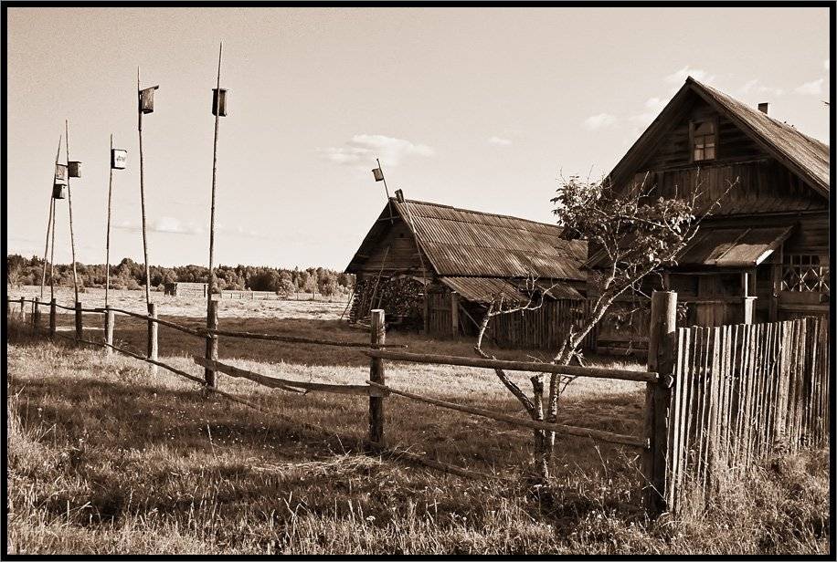 , Лунный Ежик