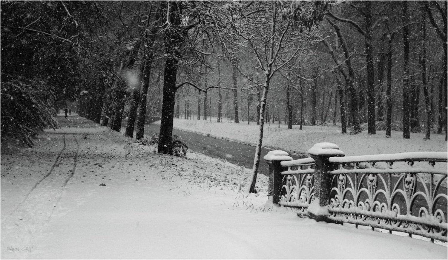 снег, парк, осень-зима, ограда, шаги, заметает, Darn Cat