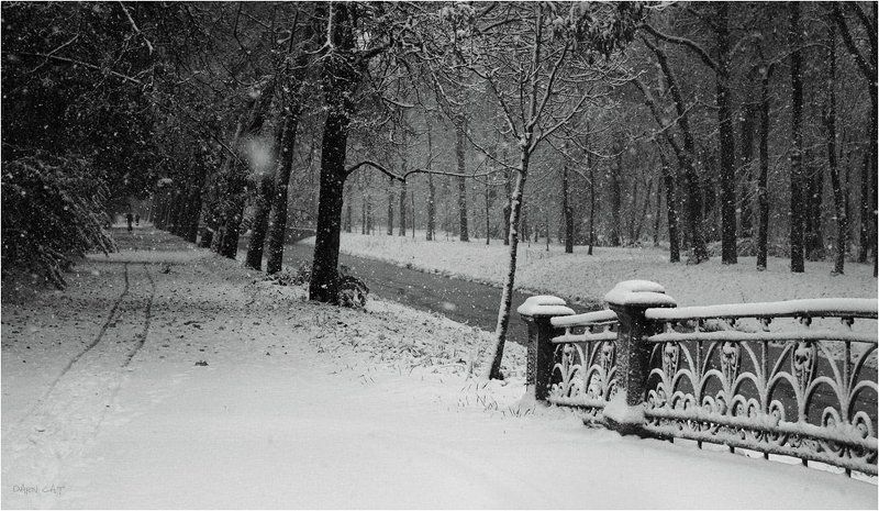 снег, парк, осень-зима, ограда, шаги, заметает Заметая твои следы.... фото превью