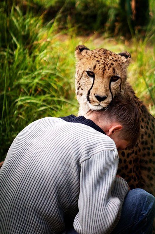 не уходи фото превью