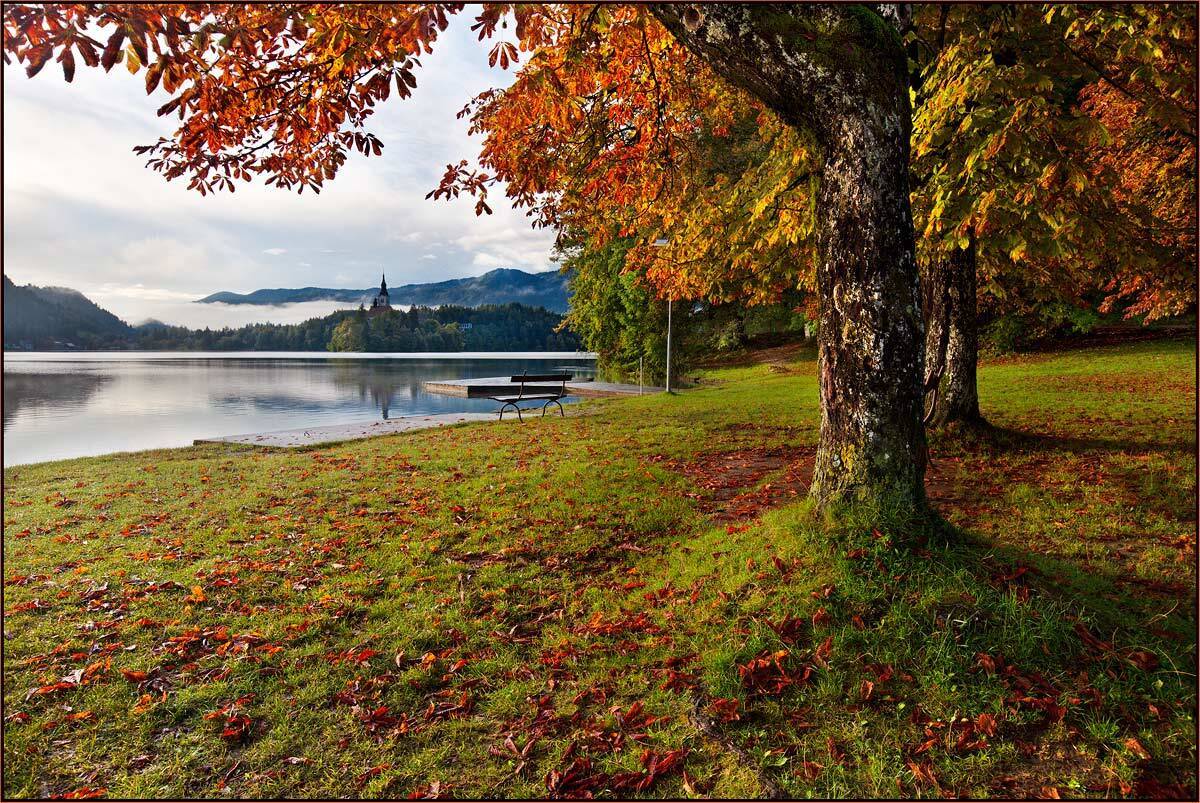 озеро, блед., словения., izh Diletant (Валерий Щербина)