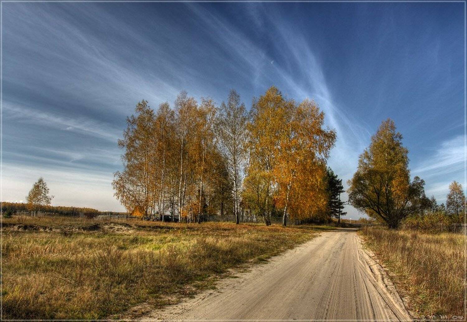 , Максим Ильин