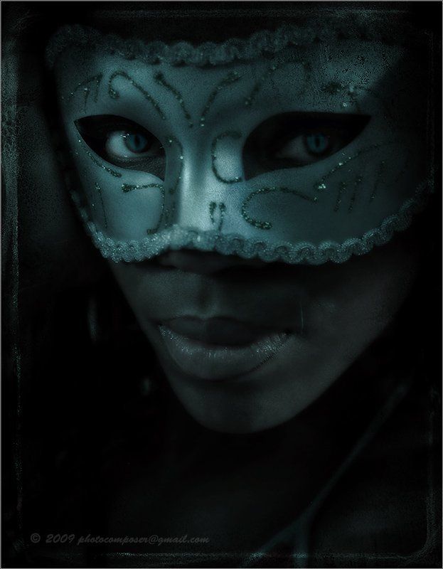 портрет, pilgrim Cat фото превью