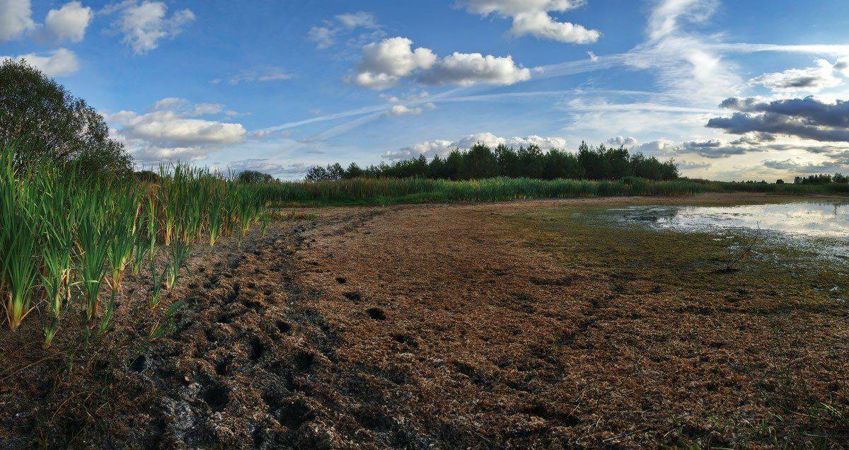 , Михаил Мочалов