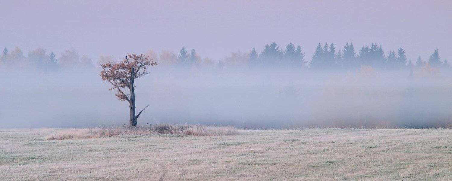 , Максим Евдокимов