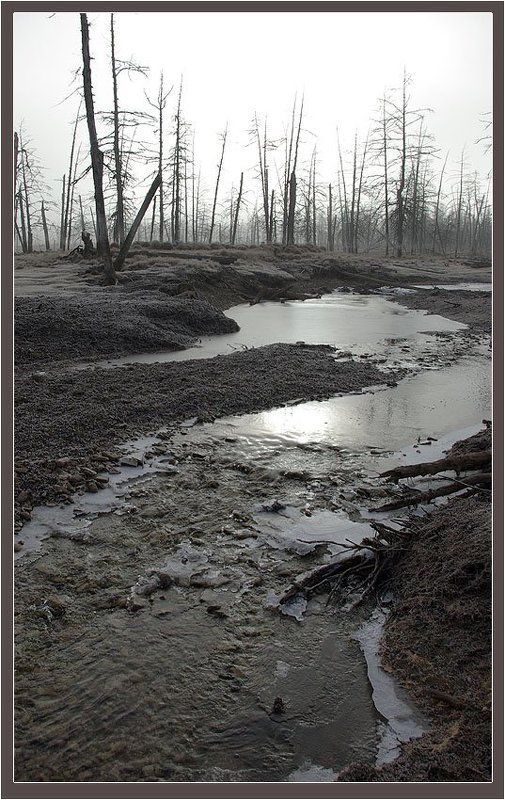 ручей,тайга,предзимье Замерзающий ручей фото превью