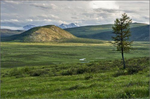 Размышление о главном...