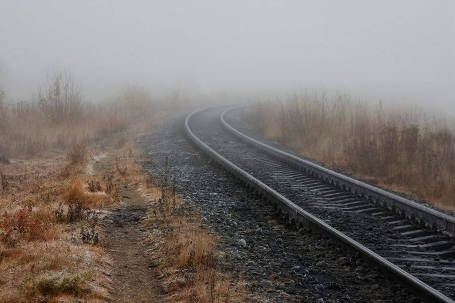 , Сергей Олюков