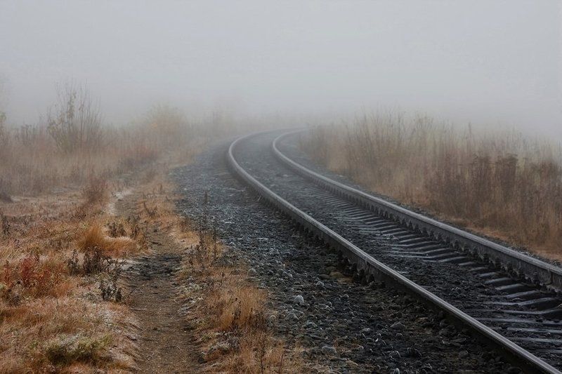 Не дождался... фото превью