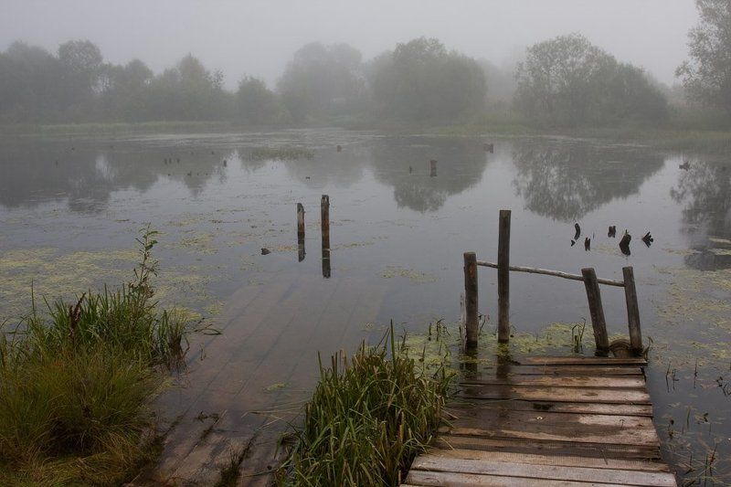 Утро на озере фото превью