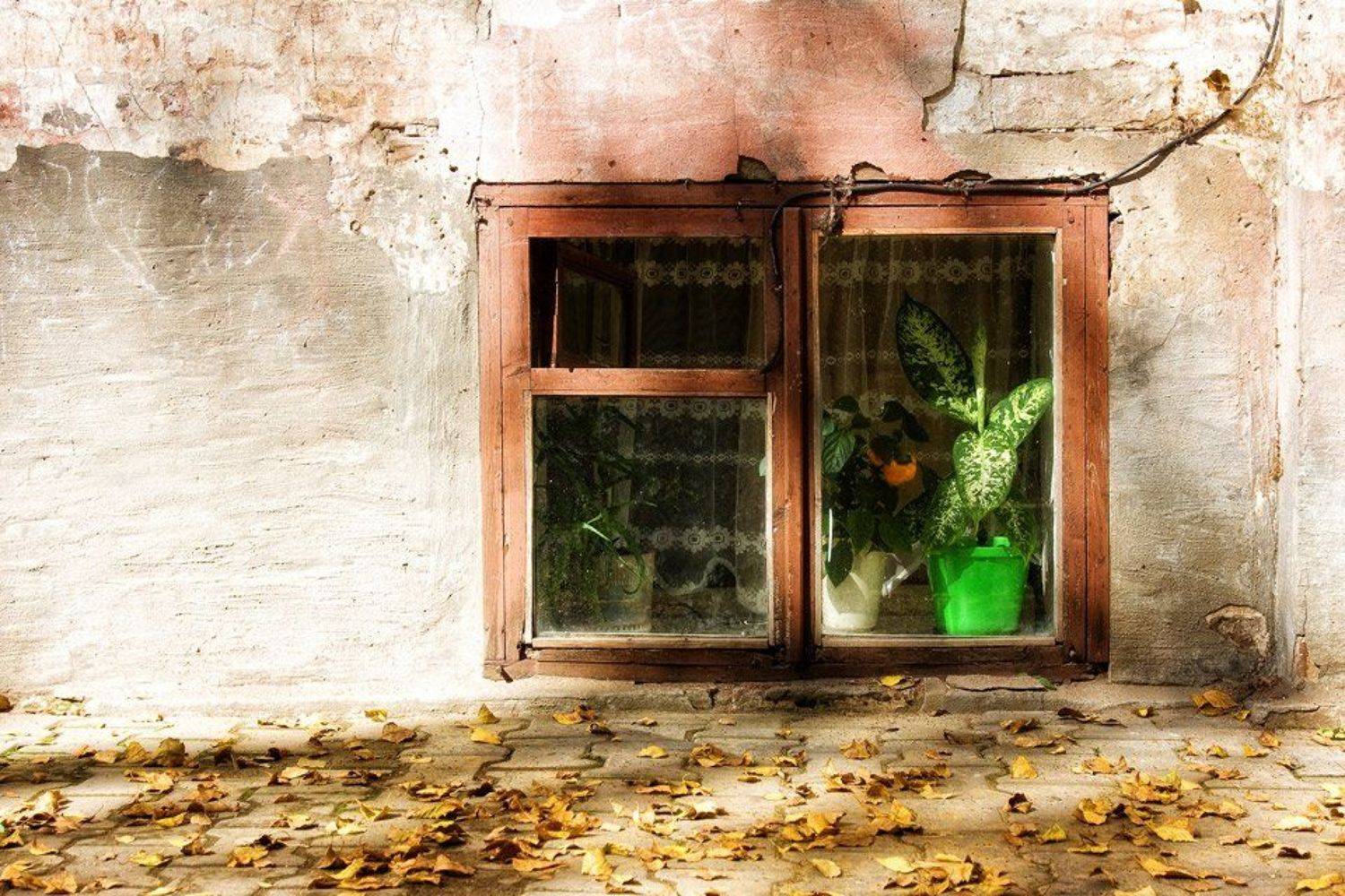 , Сергей Олюков