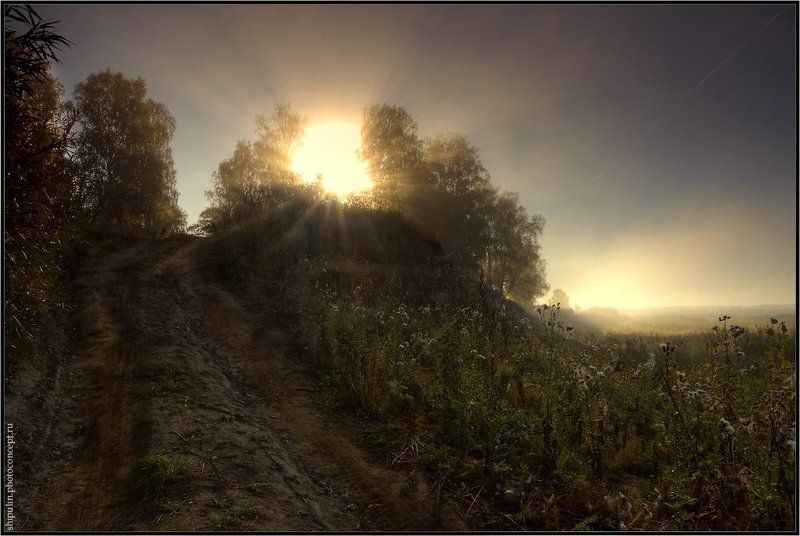 восход,восходы,туман,туманы,солнце,хдр,hdr,hdri,владимир,шипулин,томск,фотограф Про солнце в деревьях, поднимающийся туман и пролетевший самолёт... фото превью