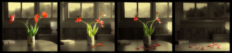 О, где же вы дни любви, сладкие сны, юные грезы весны?… Где шум лесов, пенье птиц, где цвет полей, где серп луны, блеск зарниц? фото превью