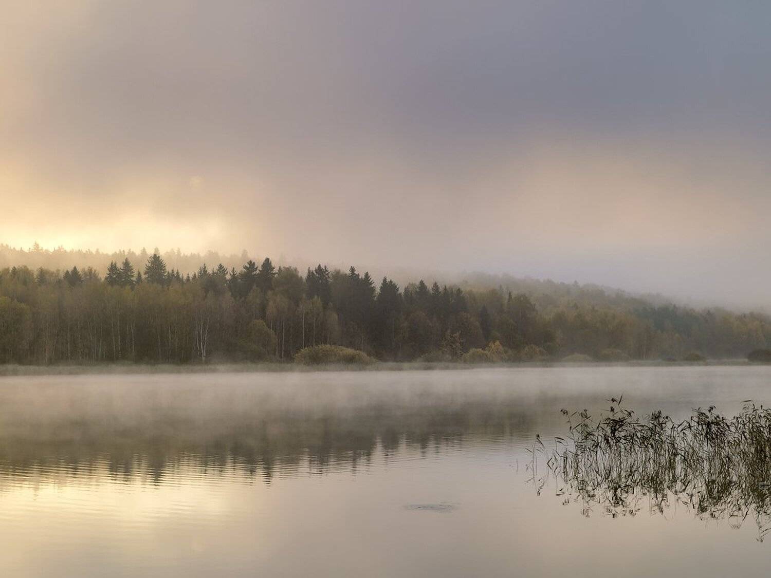 , Максим Евдокимов