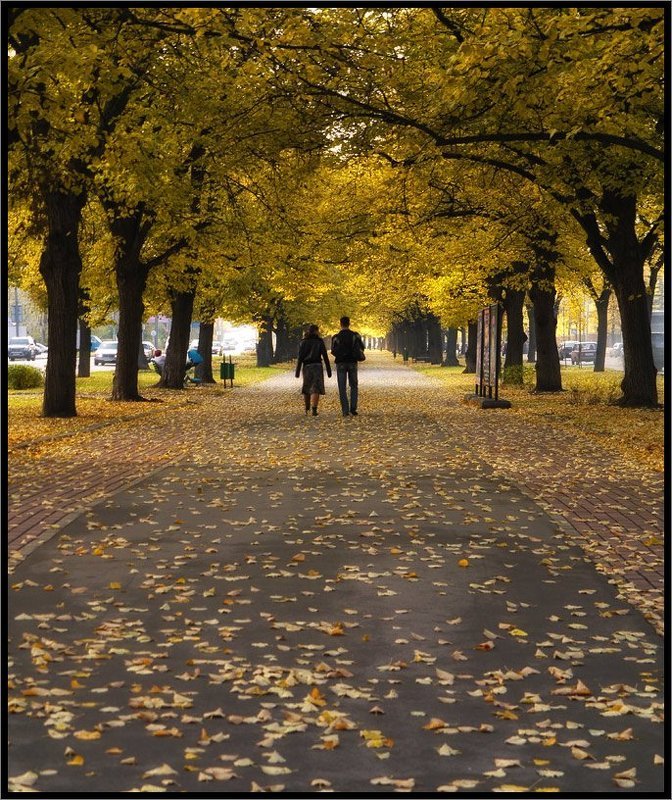 Осенняя зарисовка фото превью