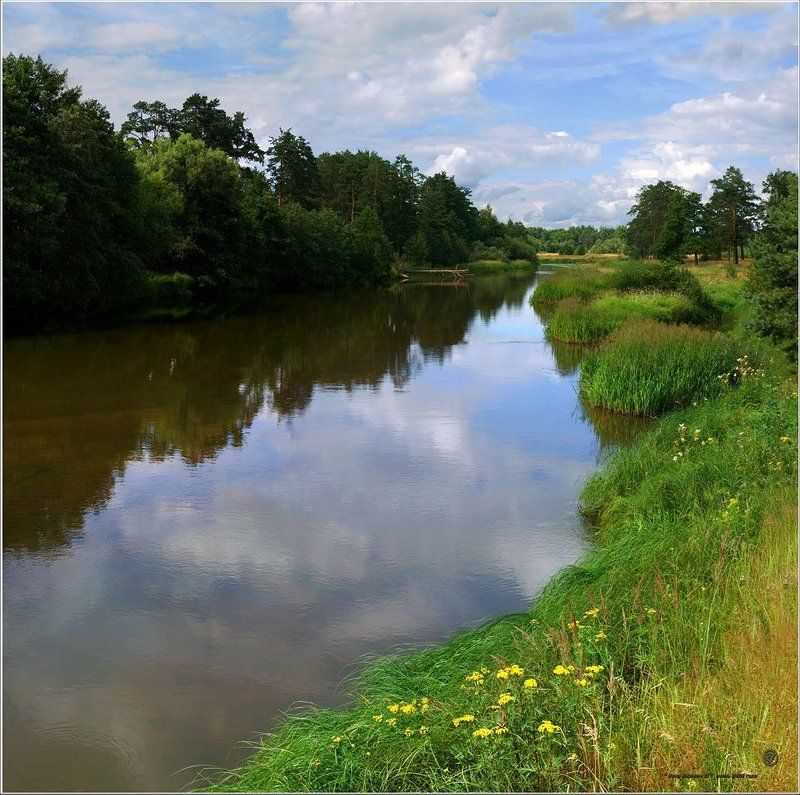 Река Киржач II фото превью