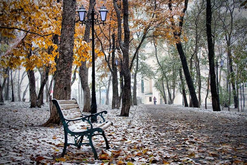 осень, парк, девушка, снег, листва владивосток  фото превью
