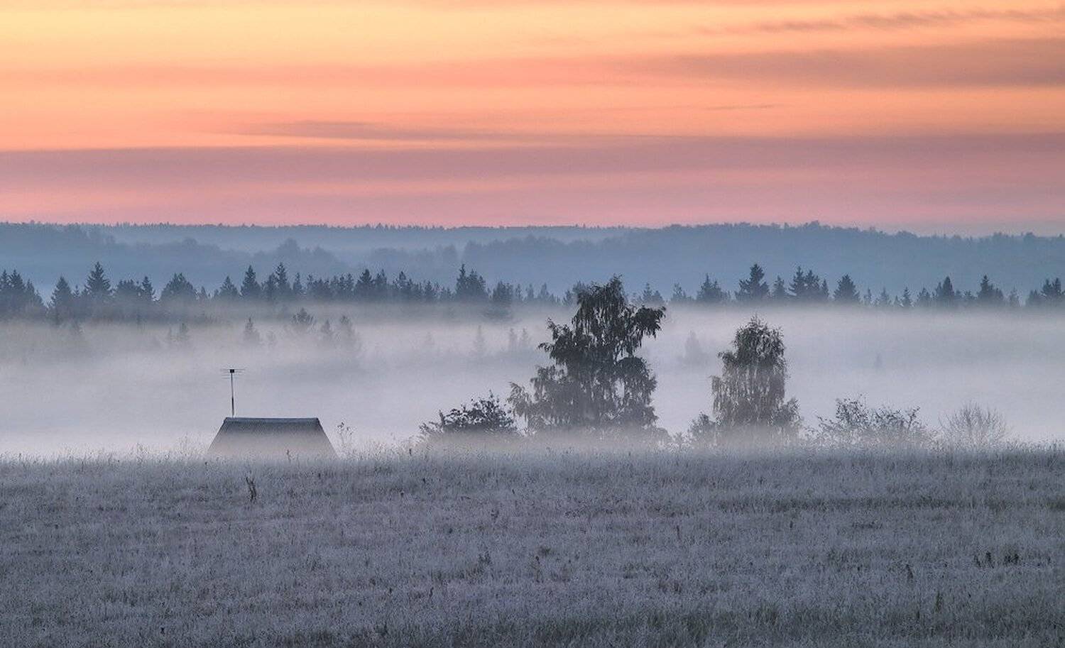 , Максим Евдокимов