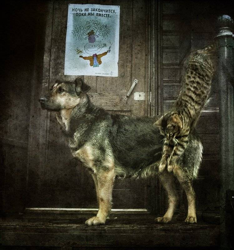 , Лямеборшай Валерия