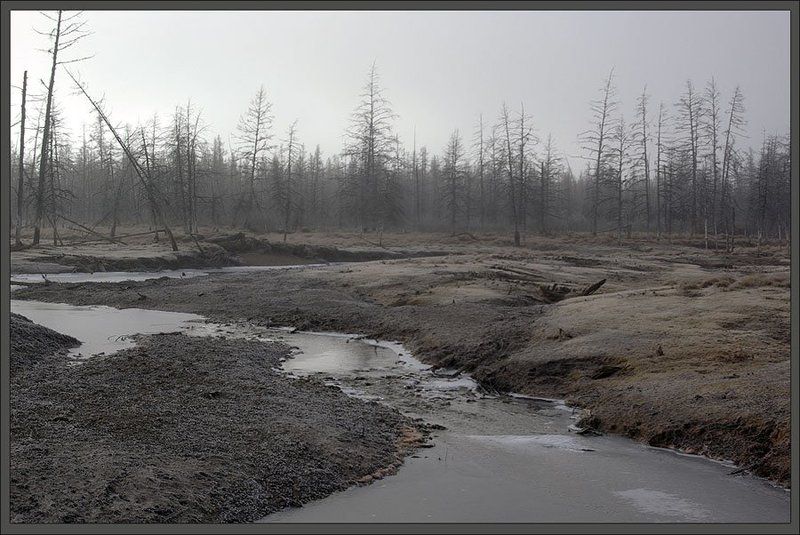 ручей,тайга,предзимье Замерзающий ручей 2 фото превью