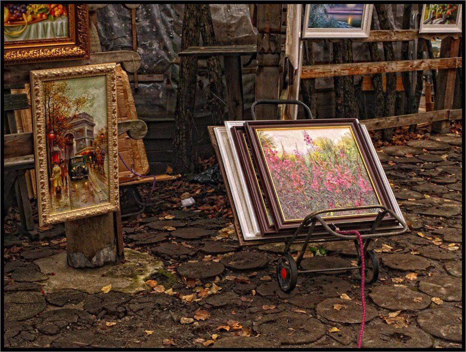 , Лунный Ежик