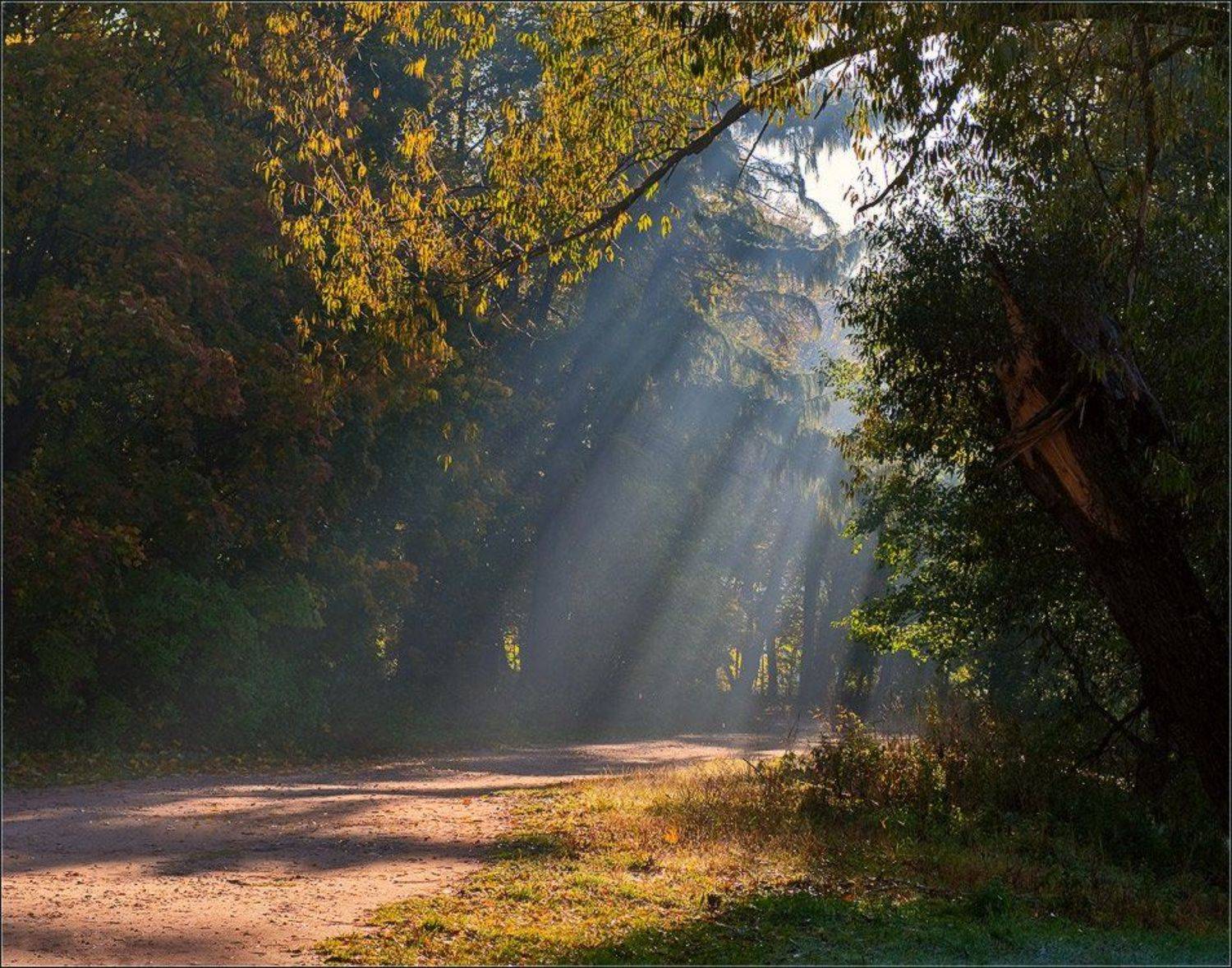 , Александр Константинов