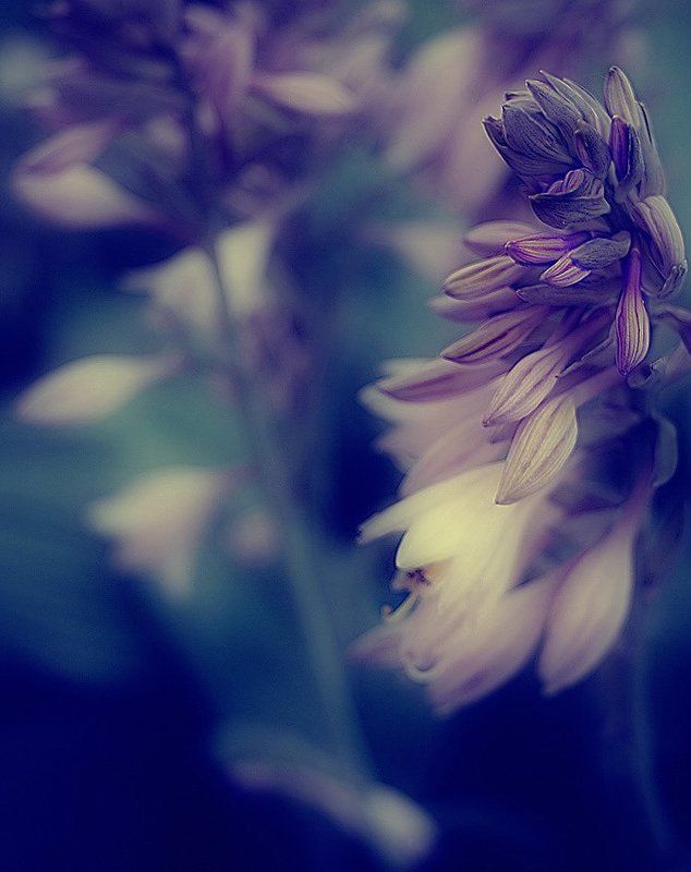 Morning фото превью