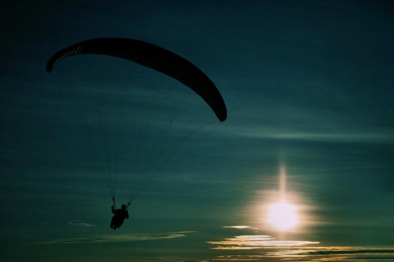 И птицы, и люди летят почему-то прямо на СОЛНЦЕ!!! фото превью