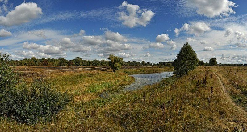 пейзаж,озеро,осень По дороге к озеру фото превью