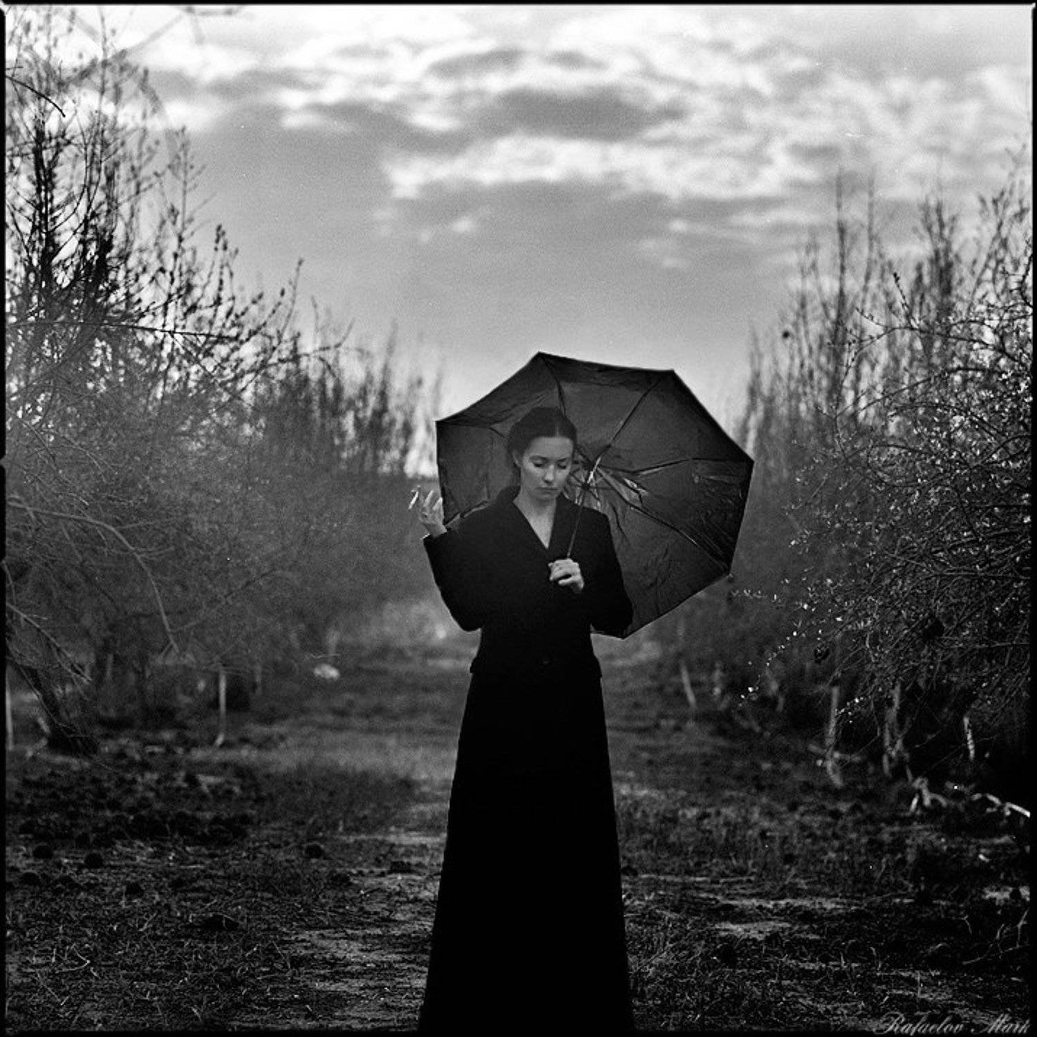 , Рафаэлов Марк