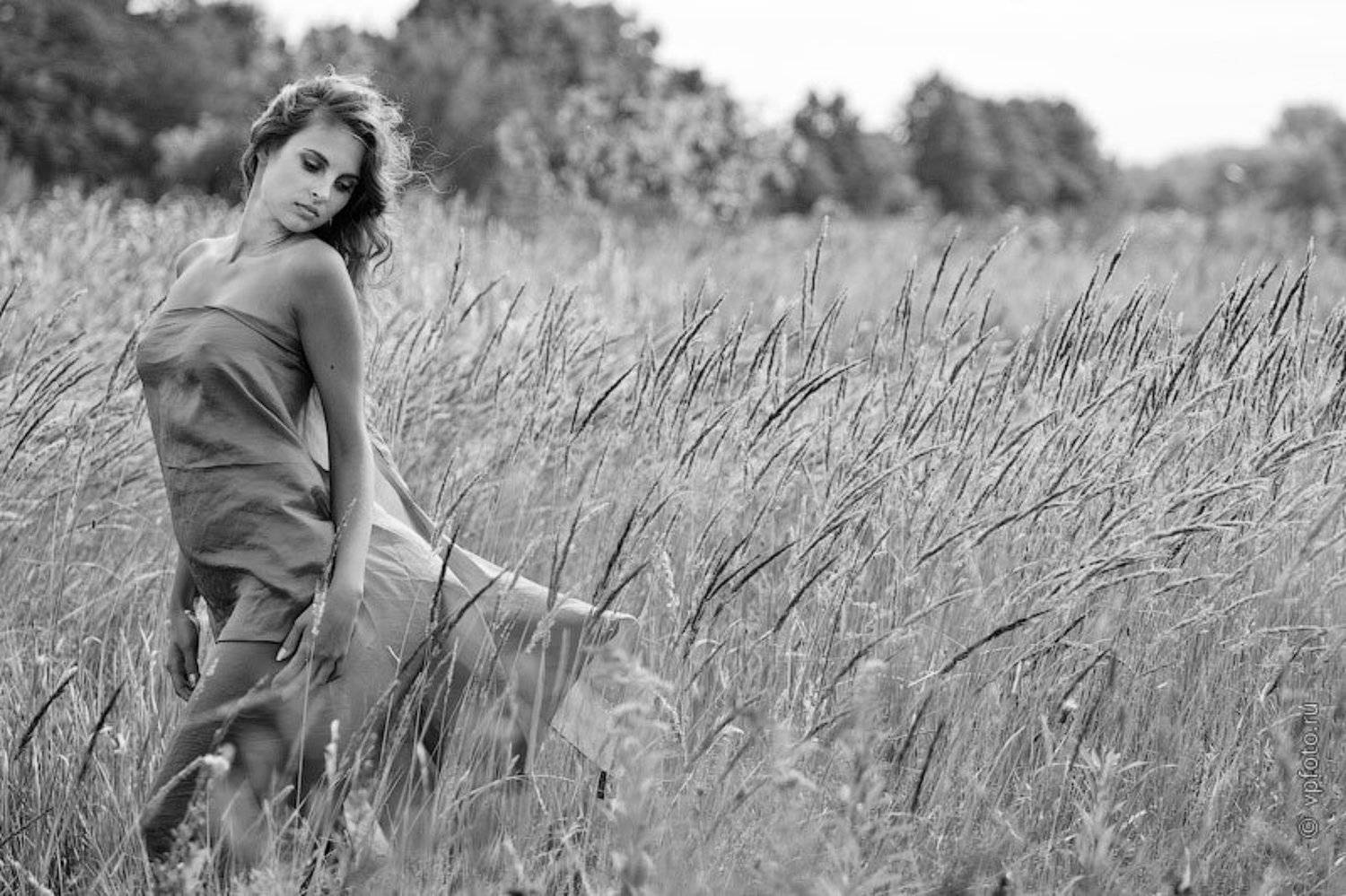 поле, Вячеслав Потёмкин