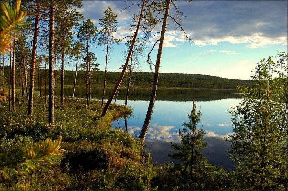 , Елена