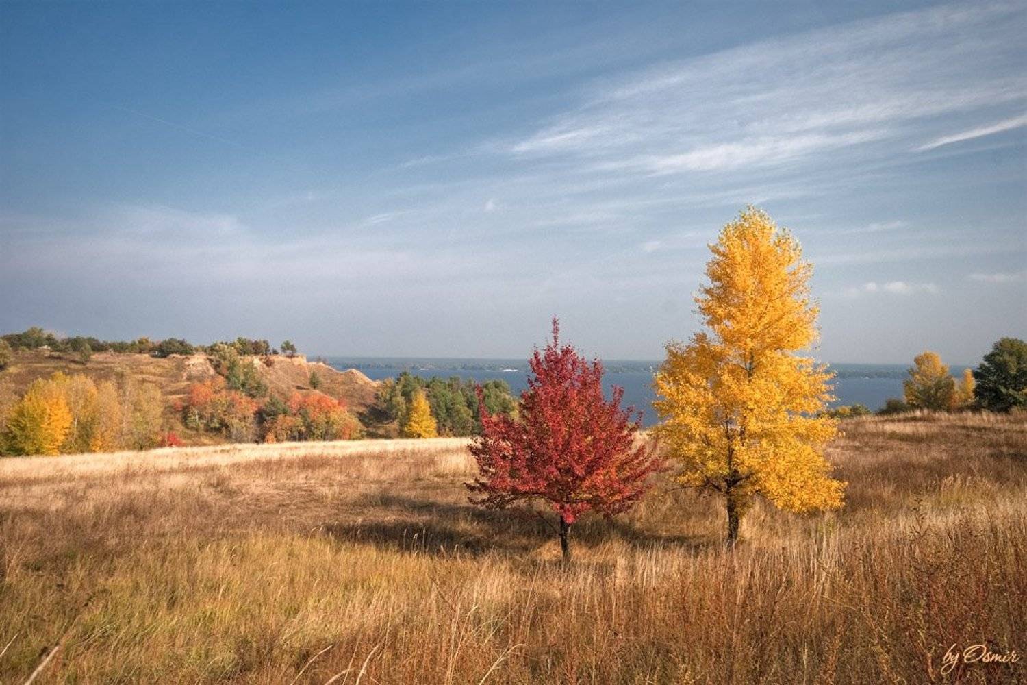 осень, золотая осень, Алексей Миронченко
