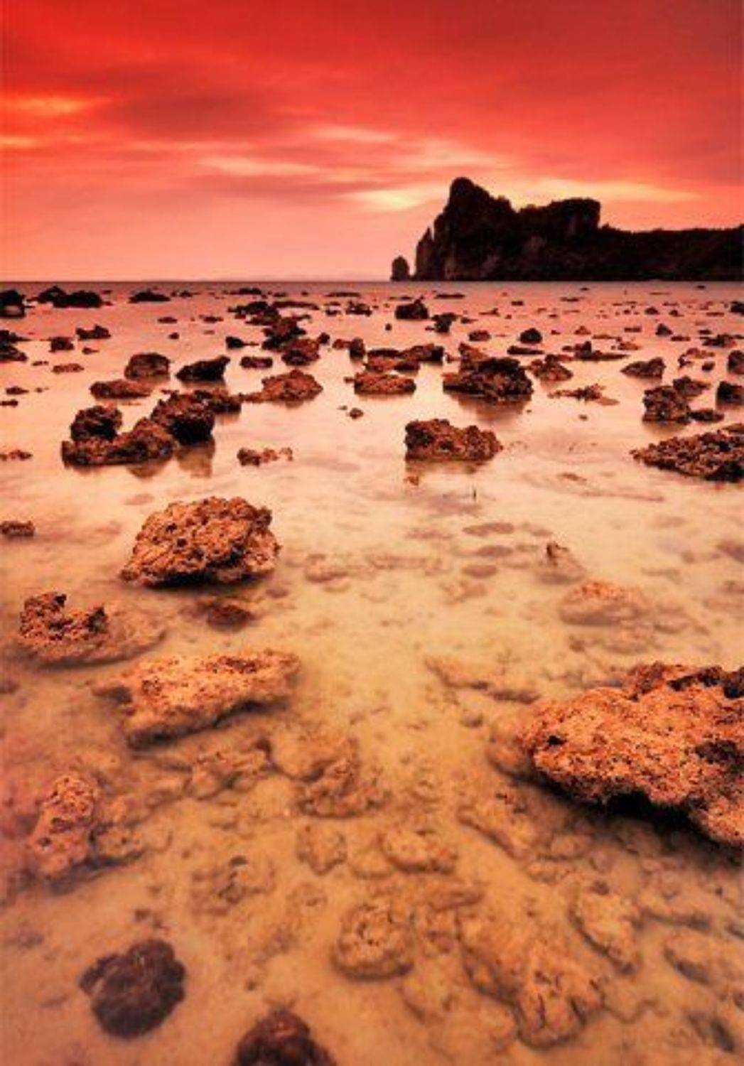 , Токарь Дмитрий