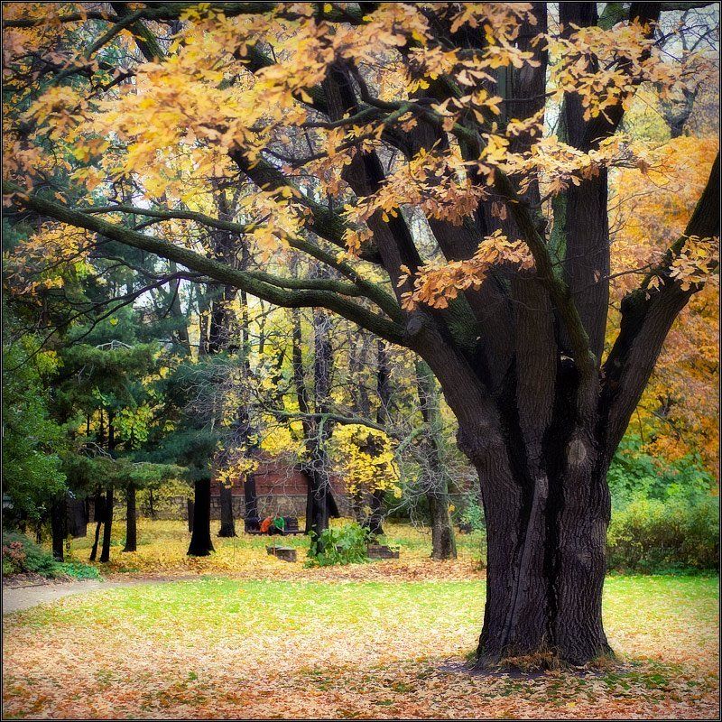Осенний этюд фото превью