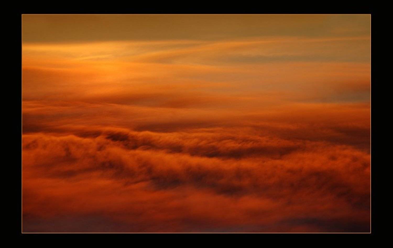 , &bull;**/ASSOL**&bull;