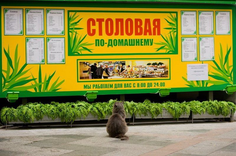 Столовая по домашнему ;) фото превью