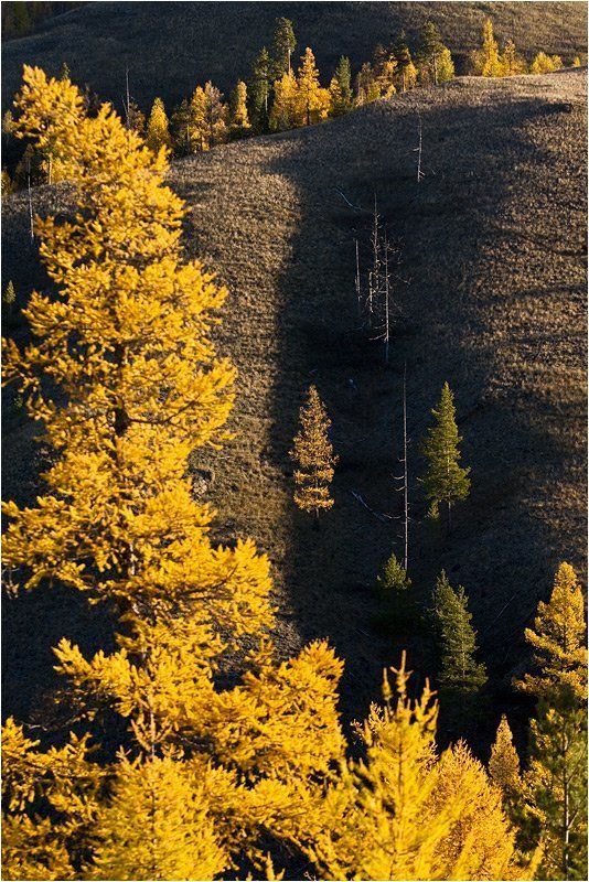Холст, масло и осень фото превью