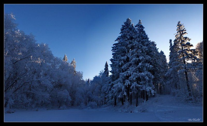 1 залив. фото превью