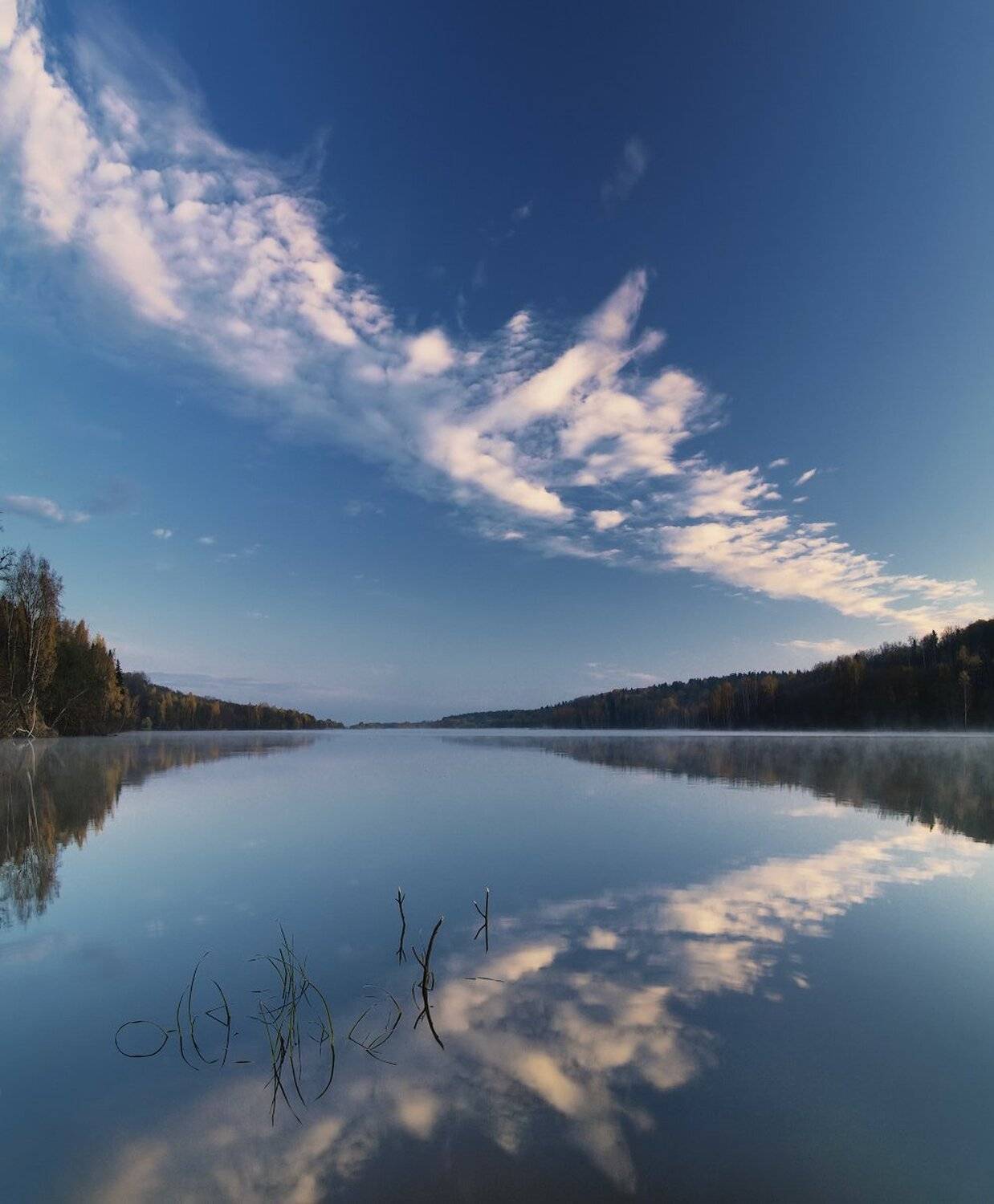 , Максим Евдокимов