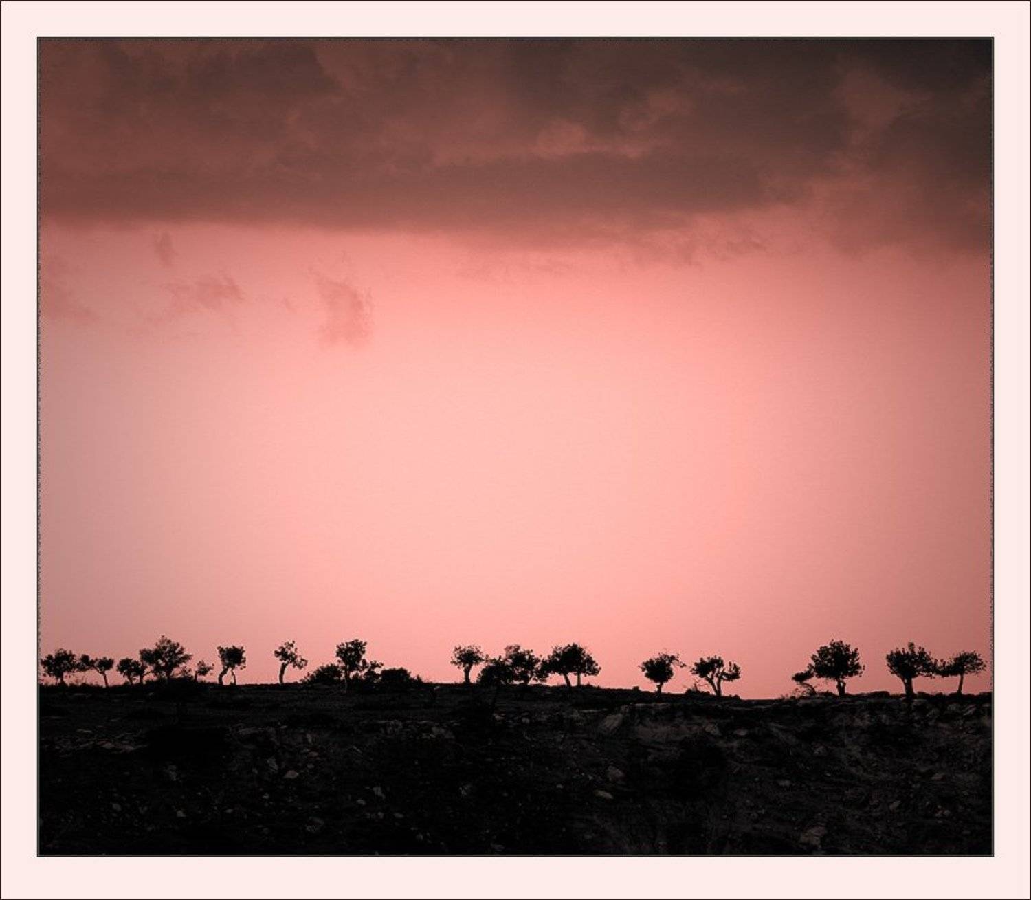 , Александр Константинов